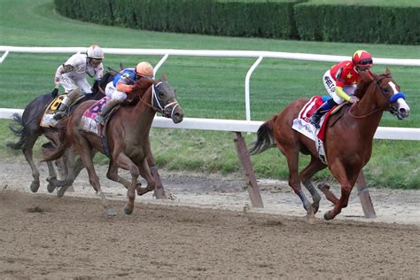 2023 Belmont Stakes: Best Trifecta Box Picks & Predictions.